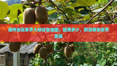 潮州去张家界大峡谷自由团，团费多少，到湖南张家界距离