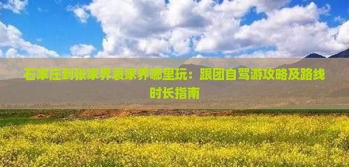 石家庄到张家界袁家界哪里玩：跟团自驾游攻略及路线时长指南