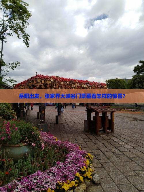 岳阳到张家界大峡谷门票