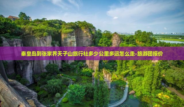 秦皇岛到张家界天子山旅行社