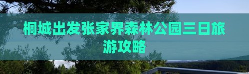桐城去张家界森林公园三日游