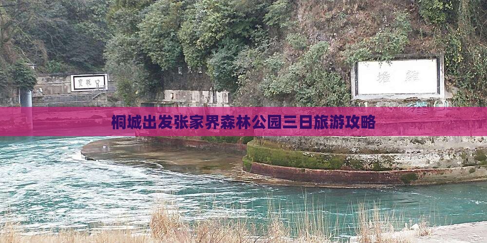 桐城去张家界森林公园三日游