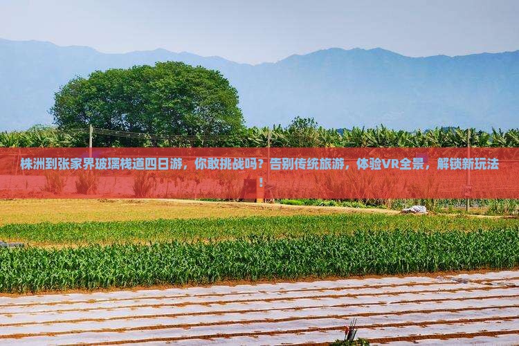 株洲到张家界玻璃栈道四日游
