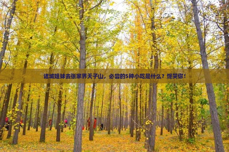 诸城去张家界天子山旅游小吃