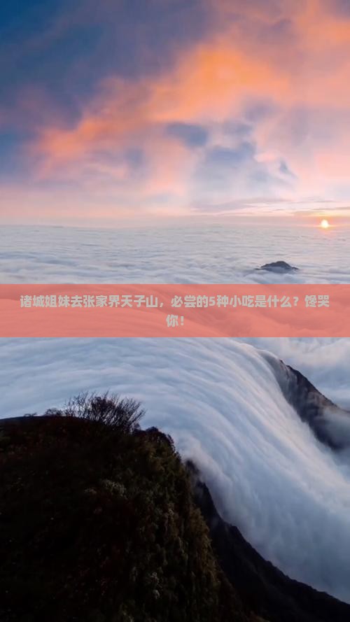 诸城去张家界天子山旅游小吃