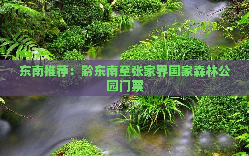 黔东南去张家界森林公园门票