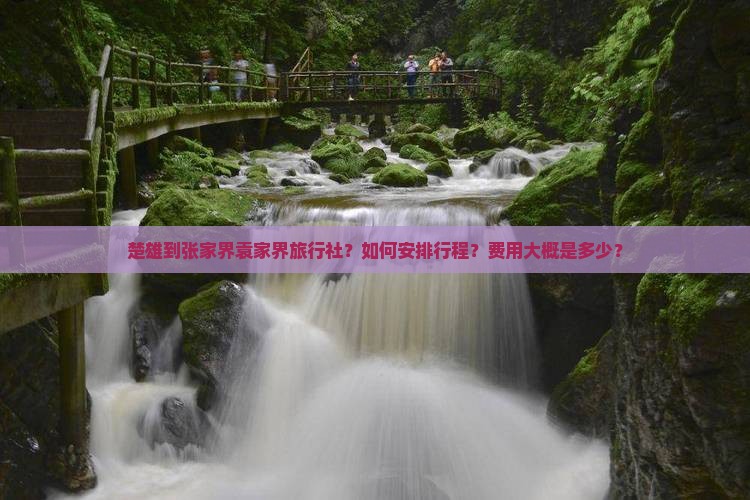 楚雄到张家界袁家界旅行社