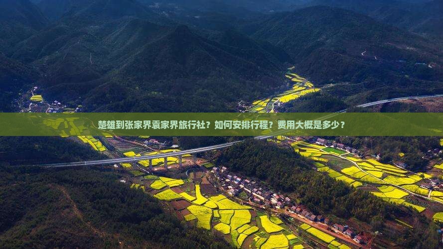 楚雄到张家界袁家界旅行社