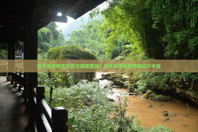 新乡去张家界凤凰古城哪里玩