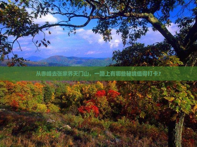 赤峰到张家界天门山哪里玩
