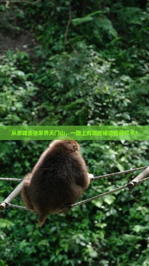 赤峰到张家界天门山哪里玩