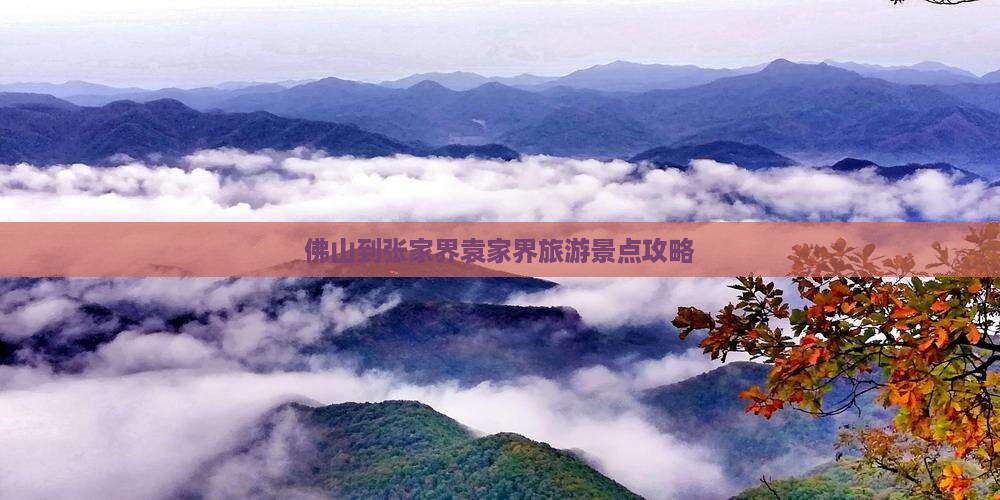 佛山去张家界袁家界个人游