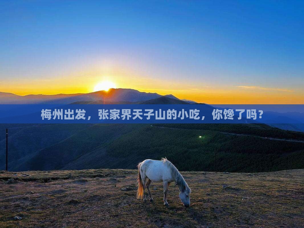 梅州到张家界天子山旅游小吃