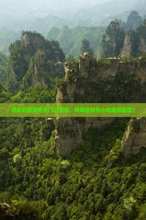 酒泉到张家界天门山旅游小吃 酒泉到张家界天门山旅游小吃