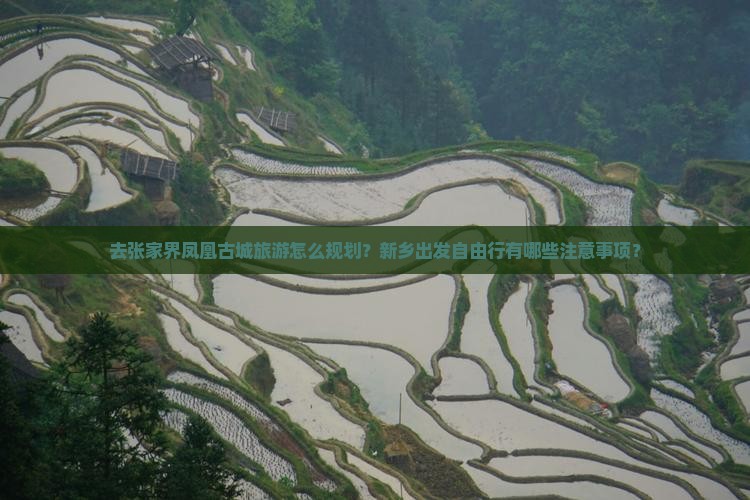 新乡去张家界凤凰古城自由团 新乡去张家界凤凰古城自由团