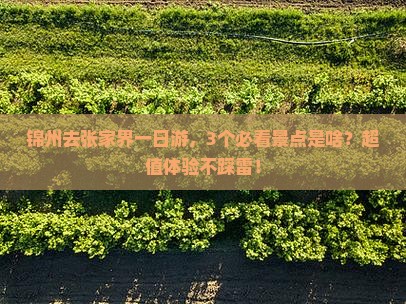 锦州到张家界一日 锦州到张家界一日