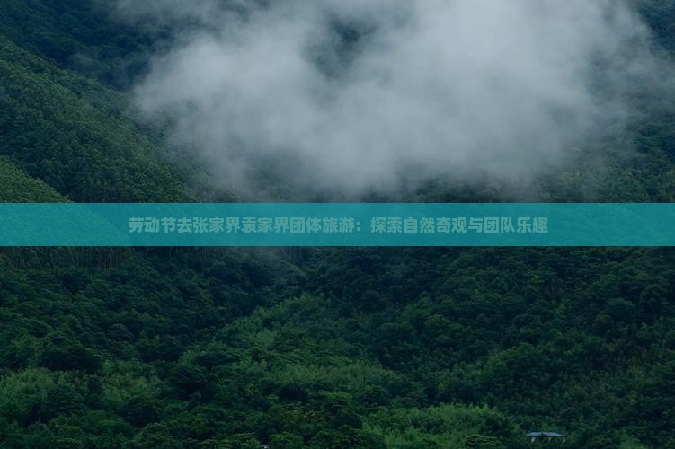 劳动节去张家界袁家界团体旅游