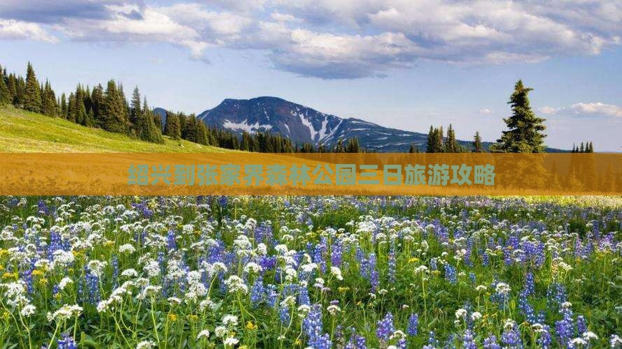 绍兴到张家界森林公园三日游
