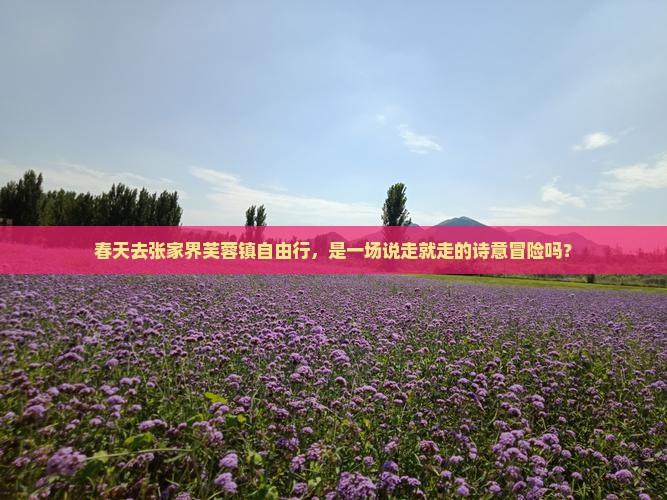 春天到张家界芙蓉镇自由行
