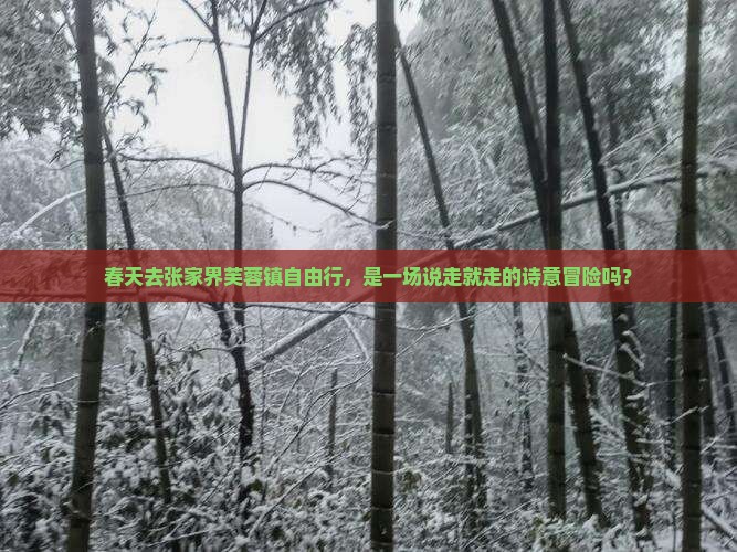 春天到张家界芙蓉镇自由行