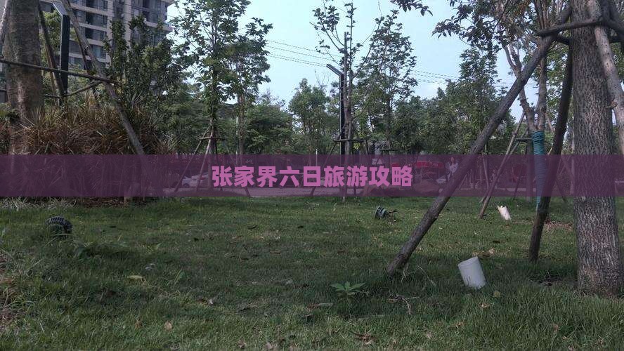 春天到张家界森林公园六日游