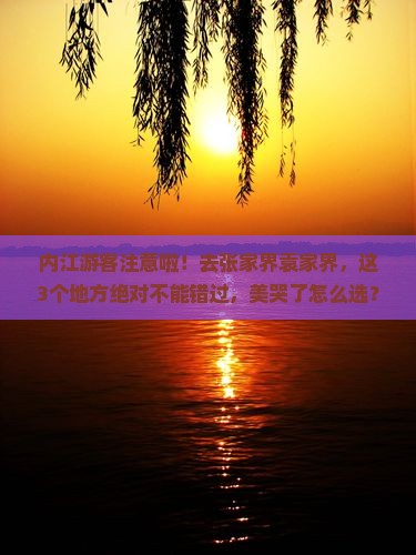 内江到张家界袁家界哪里玩