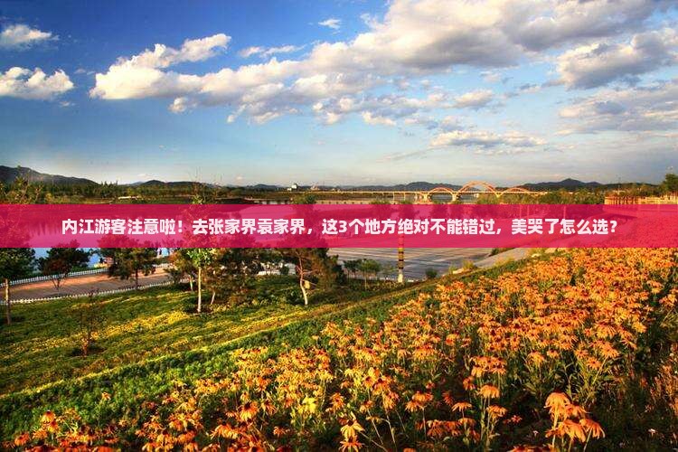 内江到张家界袁家界哪里玩