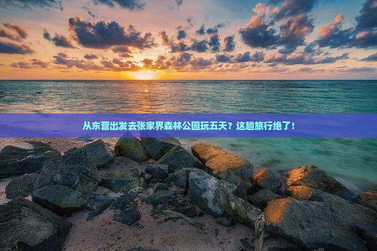 东营到张家界森林公园五日游