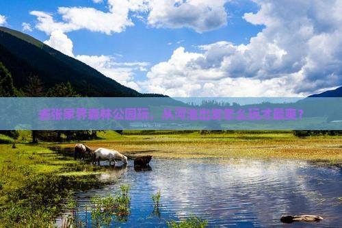 河池到张家界森林公园哪里玩