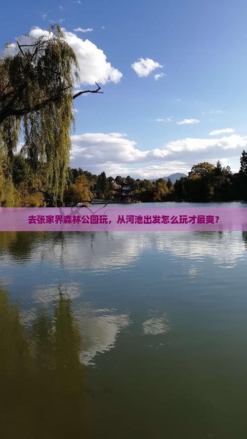 河池到张家界森林公园哪里玩