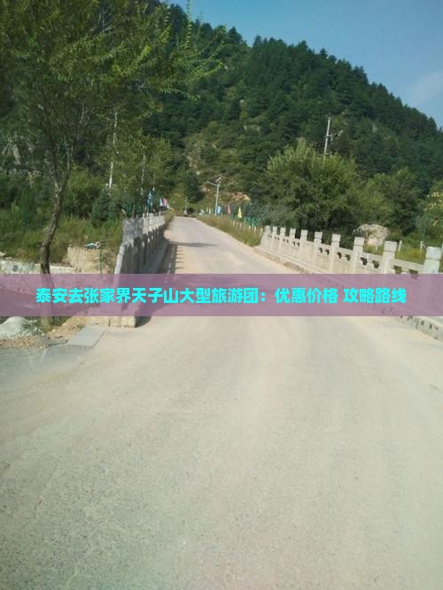 泰安去张家界天子山大型旅游团