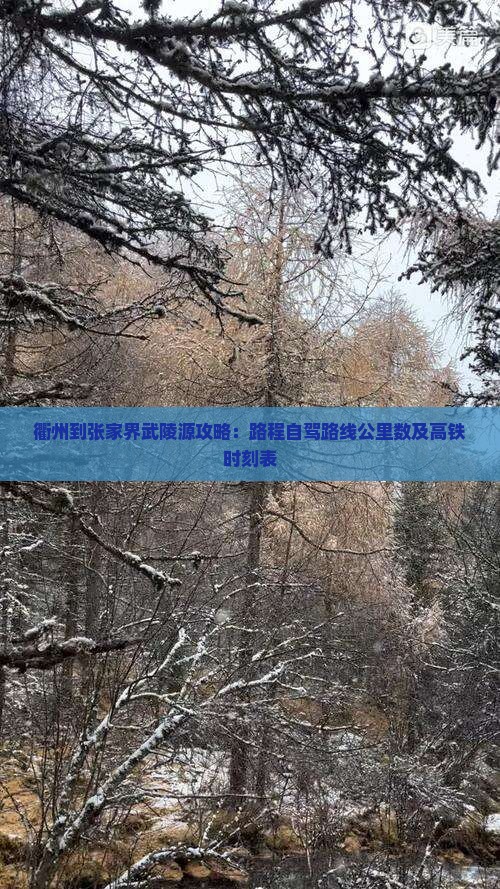 衢州到张家界武陵源攻略