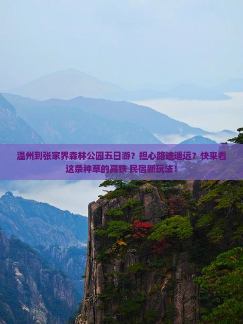 温州到张家界森林公园五日游