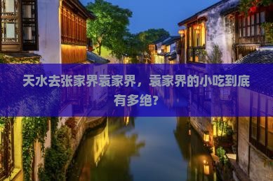 天水去张家界袁家界旅游小吃