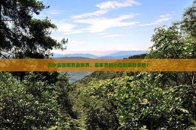 天水去张家界袁家界旅游小吃