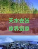 天水去张家界袁家界旅游小吃