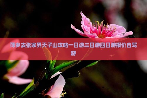 萍乡去张家界天子山攻略