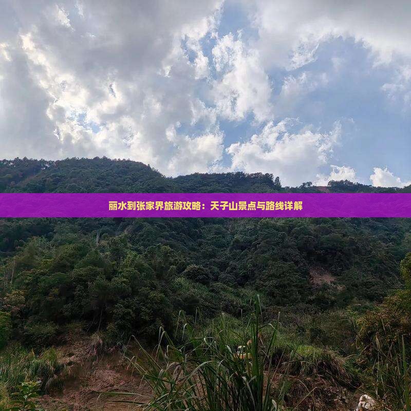 丽水到张家界天子山旅游