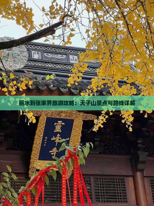丽水到张家界天子山旅游
