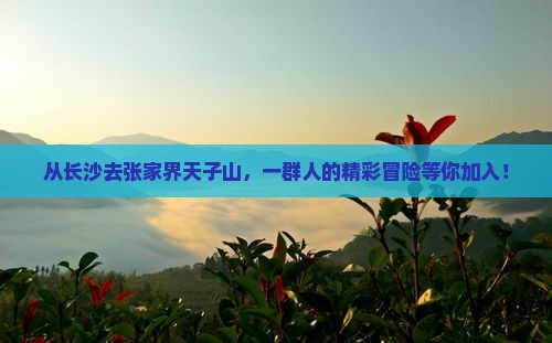 长沙到张家界天子山团体旅游
