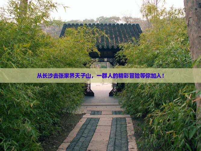 长沙到张家界天子山团体旅游