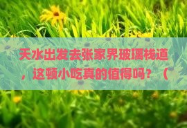 天水去张家界玻璃栈道旅游小吃