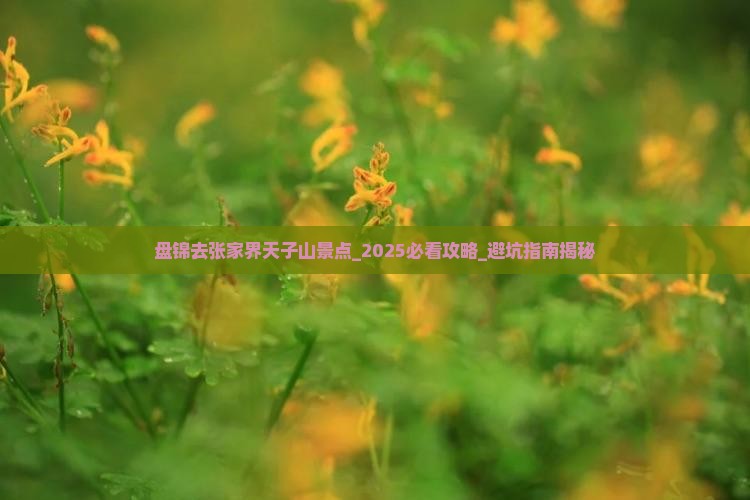 盘锦去张家界天子山景点