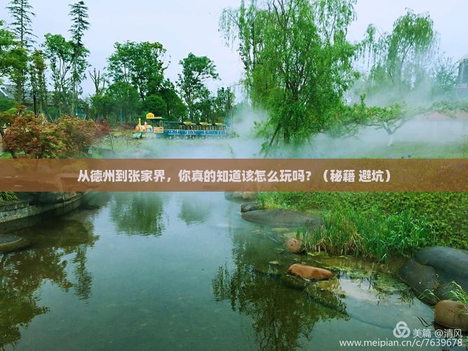 德州到张家界哪里玩