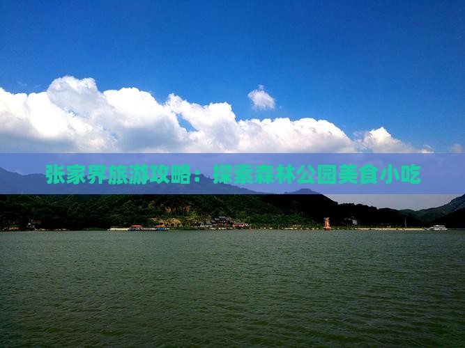 景德镇去张家界森林公园旅游小吃