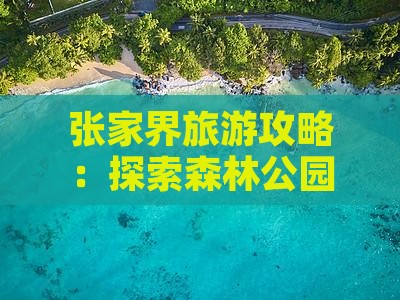 景德镇去张家界森林公园旅游小吃