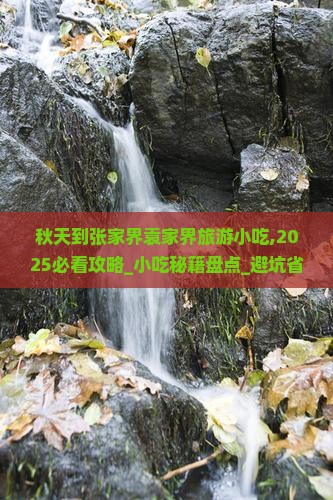 秋天到张家界袁家界旅游小吃