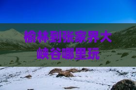 榆林到张家界大峡谷哪里玩