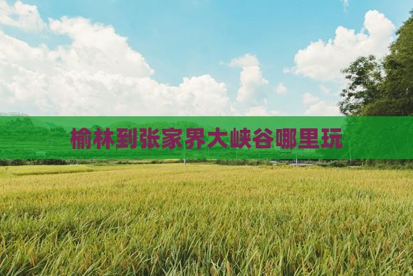 榆林到张家界大峡谷哪里玩