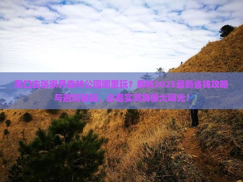 周口去张家界森林公园哪里玩